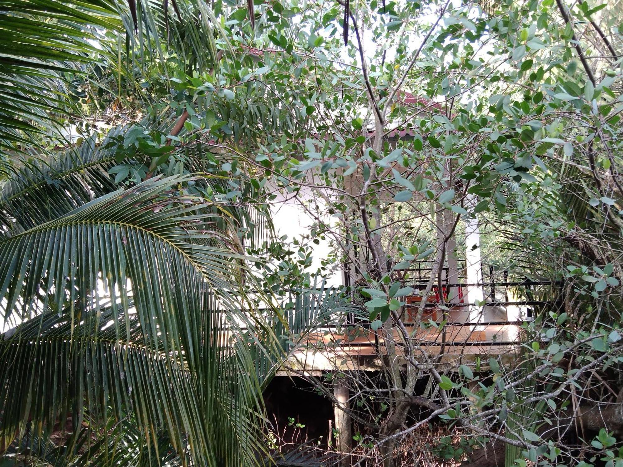 Quoc Phuong Riverside Homestay Ben Tre Kültér fotó