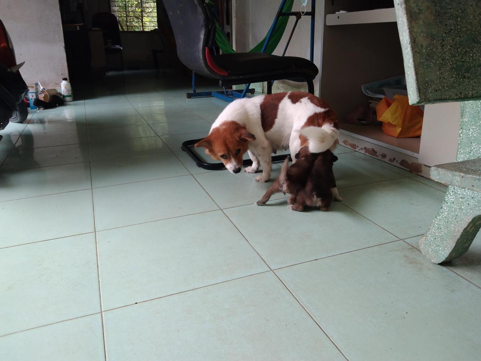 Quoc Phuong Riverside Homestay Ben Tre Kültér fotó